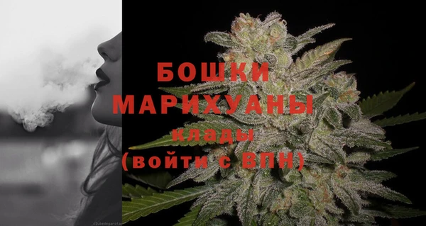 ПСИЛОЦИБИНОВЫЕ ГРИБЫ Белокуриха