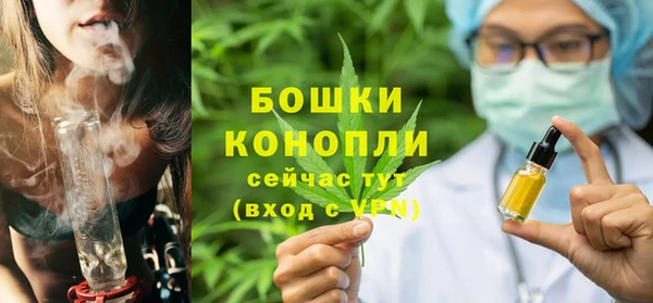 ПСИЛОЦИБИНОВЫЕ ГРИБЫ Белокуриха