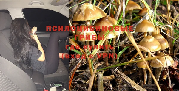 apvp Балахна